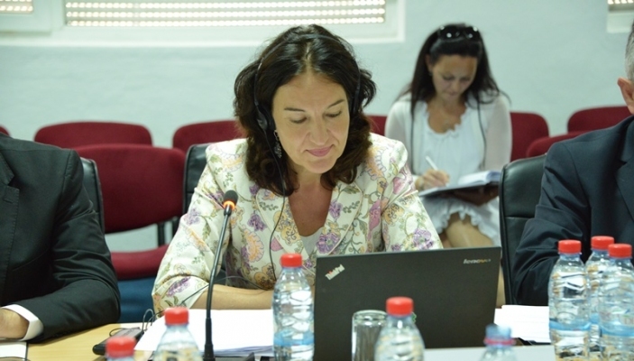 U mbajt takimi i par&euml;  i Komitetit Drejtues p&euml;r  Projektin e Binjak&euml;zimit